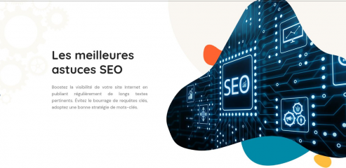 https://www.seo-blogs.fr